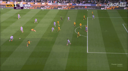 開云·全站app(kaiyun)