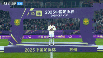 决赛戴帽！足协杯最佳球员：北京国安-法比奥